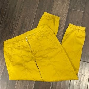 Cabi cargo pants